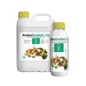 کود آمینو کوالانت کلسیم بیوبریکا