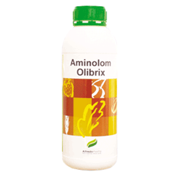 کود آمینولوم اولیبریکس آلفردواینستا