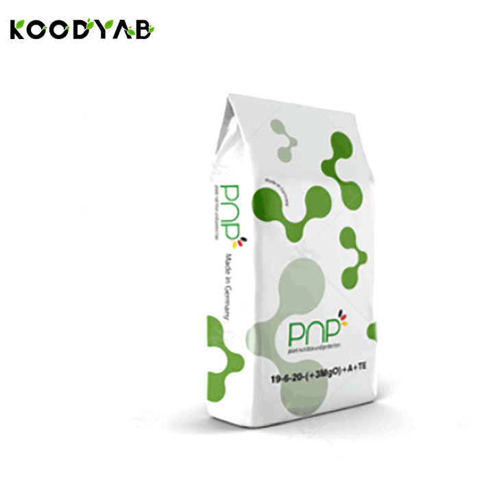 کود 20 6 19 پی ان پی