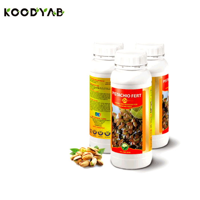 کود  پستچیو فرت روی داتیس