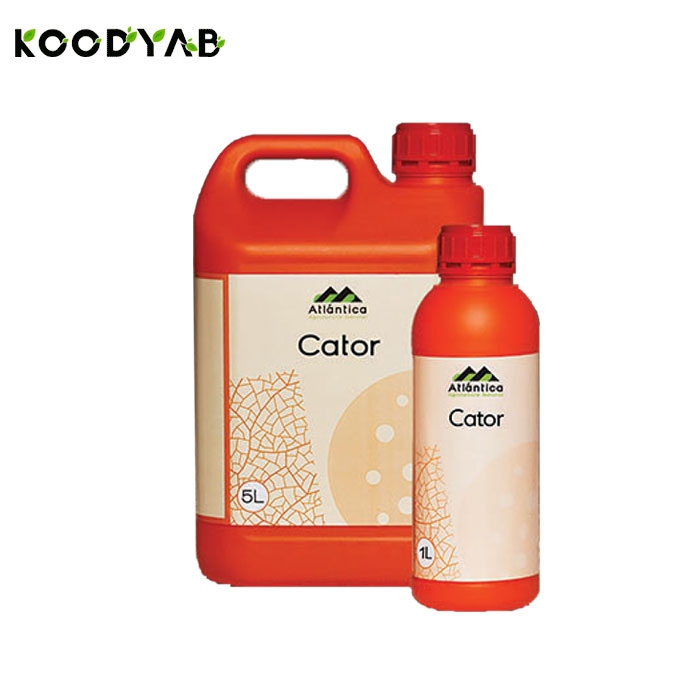 کود کاتور آتلانتیکا