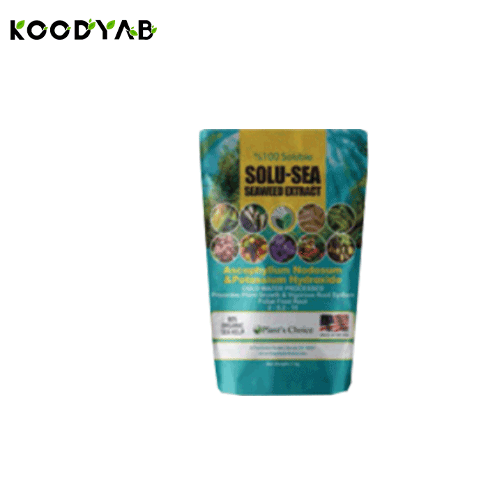 کود سولو سی پلنتس چویس