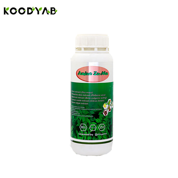 کود آمینو کلات روی منگنز هلسی سبزکاوشان