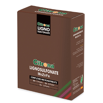 کود لیگنو سولفونات روی آهن منگنز سیترونا