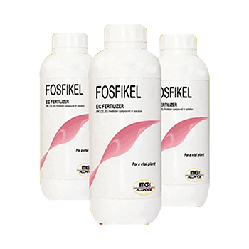 کود فسفیکل آی ام جی 