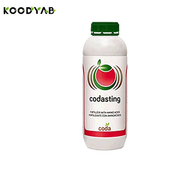 کود ستینگ  کدا