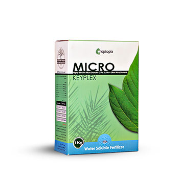 کود کی پلکس میکرو راپتوپیا