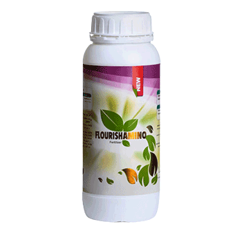 کود اسید آمینه فلوریش