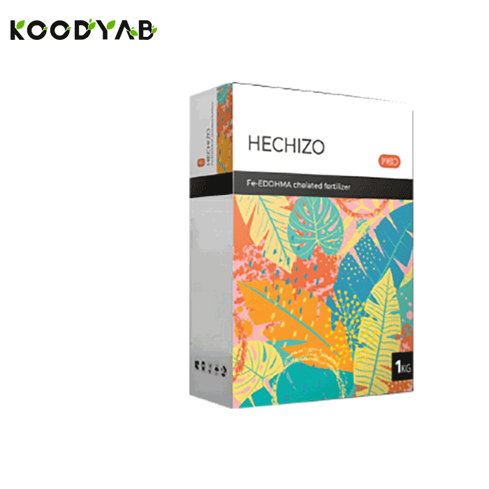 کود هچیزو ریکو