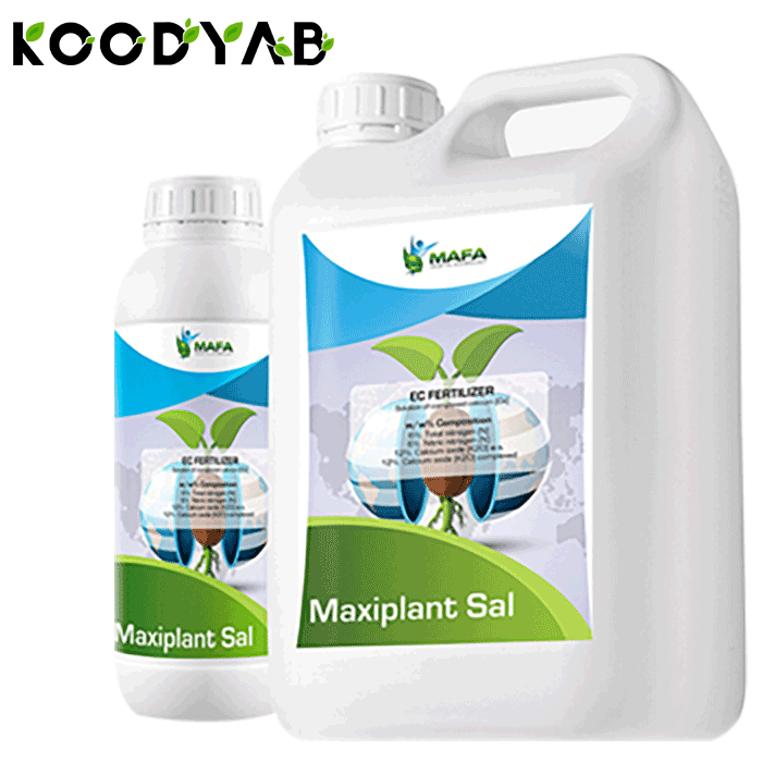 کود ماکسی پلنت سال مافا