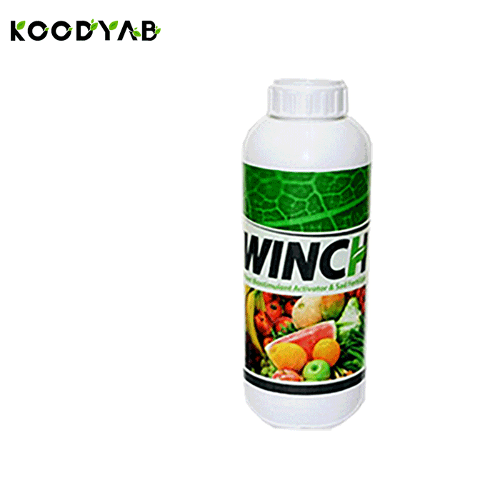 کود وینچ آی اف تی سی