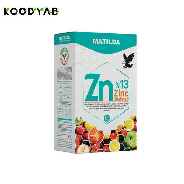 کود روی ماتیلدا