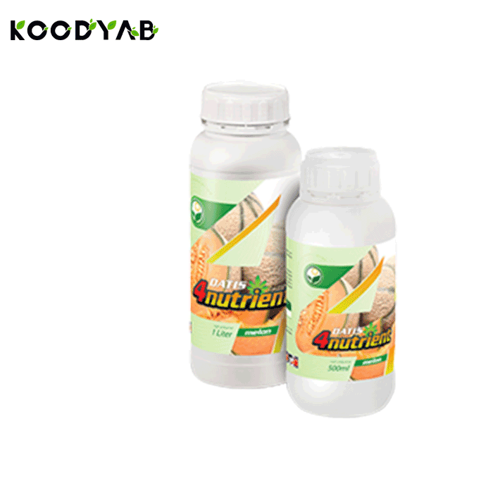 کود طالبی داتیس