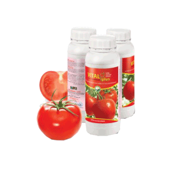 کود ویتال پلاس کلسیم داتیس