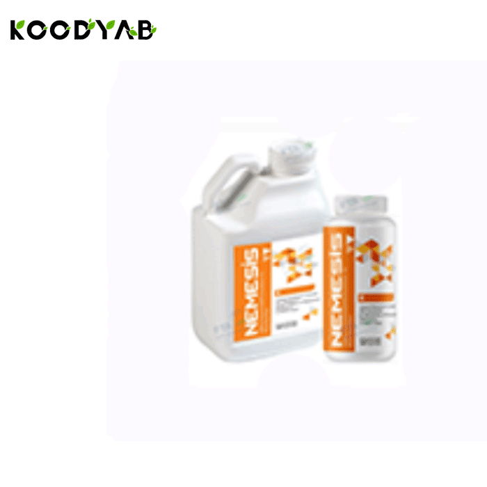 کود روی نمسیس