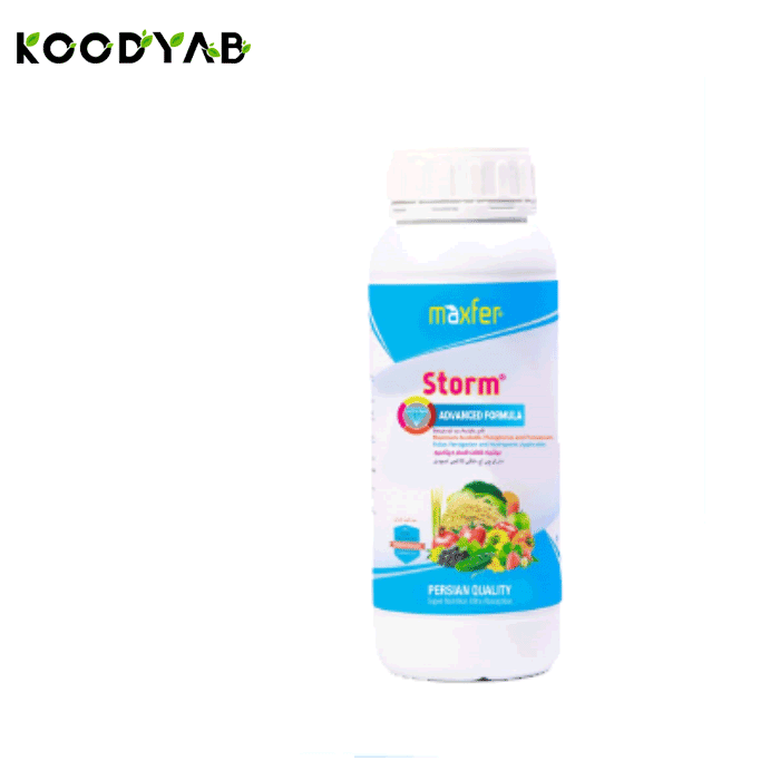 کود استورم ماکسفر