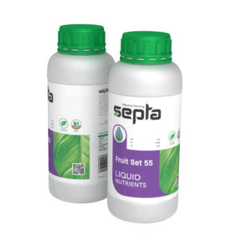 کود فروت ست 55 سپتا