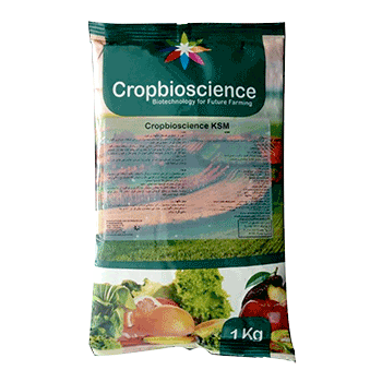 کود کا اس ام بیوساینس