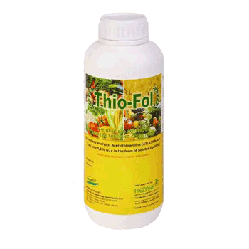 کود تیوفول هزاره 