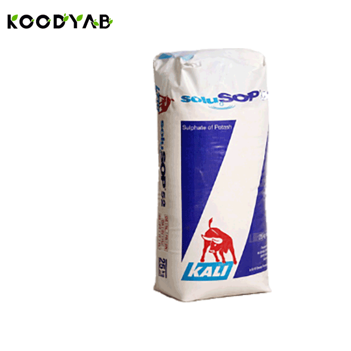 کود سولو سوپ کالی