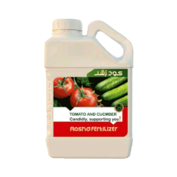 کود گوجه فرنگی خیار رشد