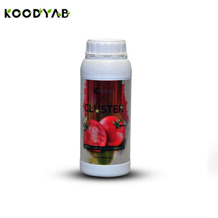 کود  کلاستر راپتوپیا