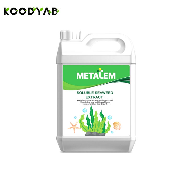 کود  جلبک دریایی مایع متالم 