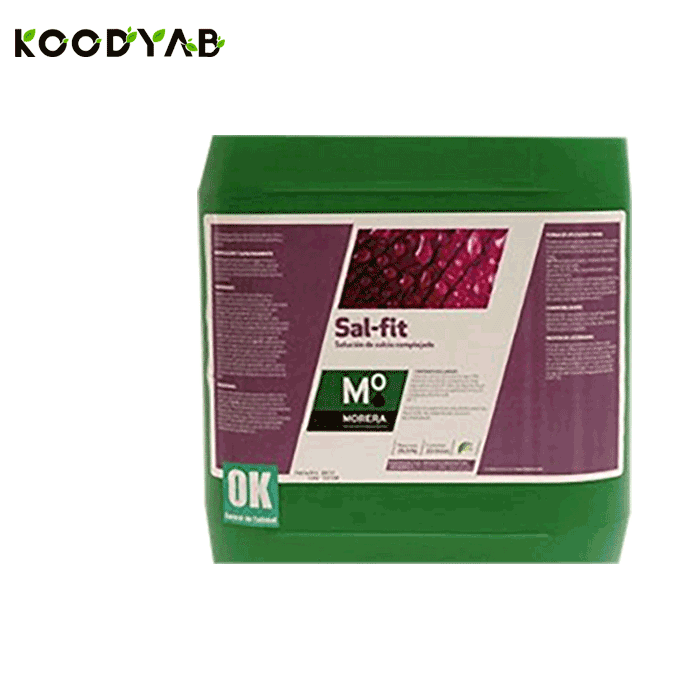 کود سال فیت موررا