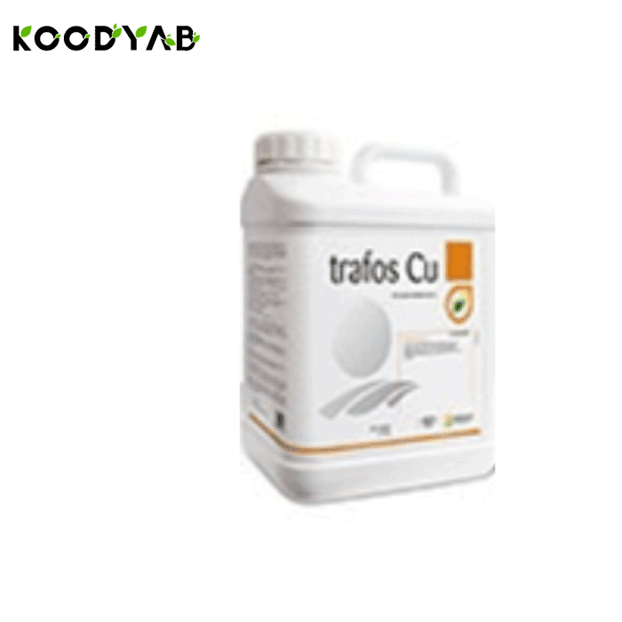 کود ترافوس مس تریدکورپ