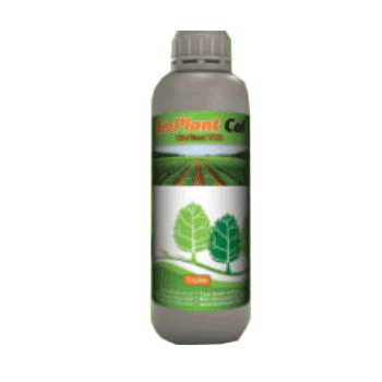 کود کال بایو پلنت