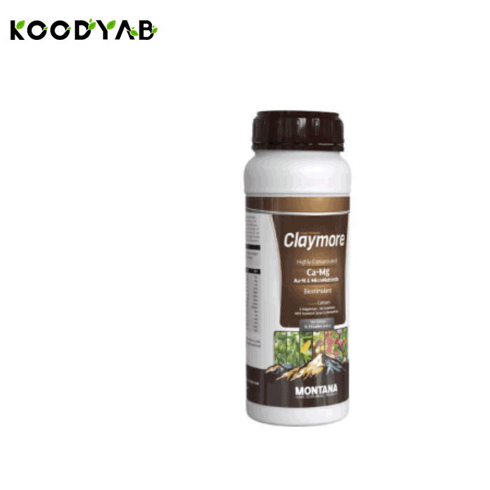 کود کِلِی مور مونتانا