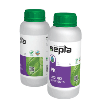 کود فسفر پتاس سپتا