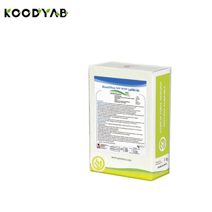 کود روت ماکس پروسیسا