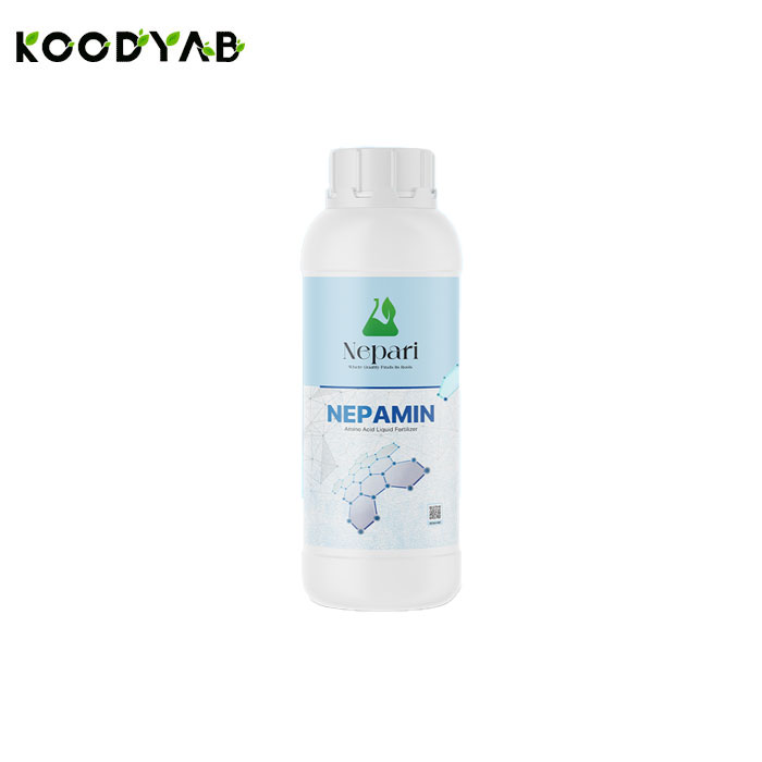 کودامینو اسید نپامین نپاری