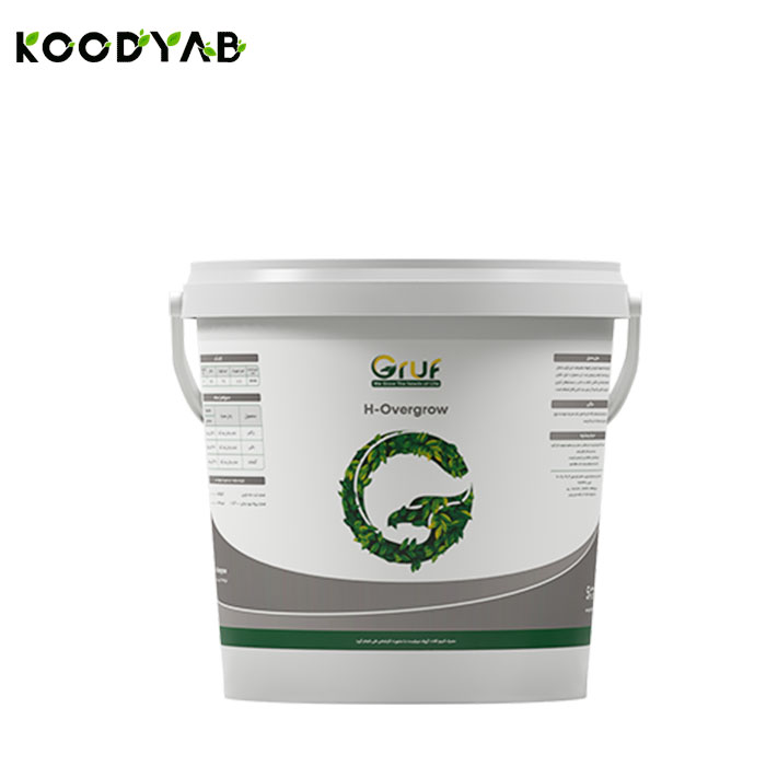 کود اچ اورگرو گروف