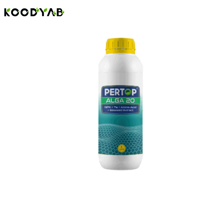 کود آلگا 20 پرتاپ