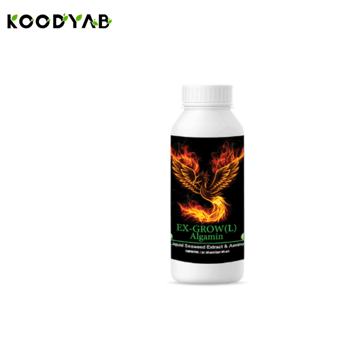 کود آلگامین ال 3 سبز آذر کاسپین