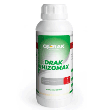 کود رایــزومکــس دراک