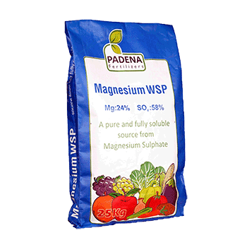 کود سولفات منیزیم پادنا