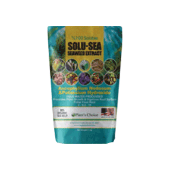 کود سولو سی پلنتس چویس