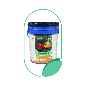 کود پابرا فلفل دلمه ترنم سبز زاینده رود