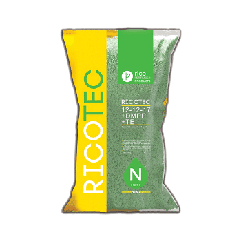 کود ریکوتک ریکو