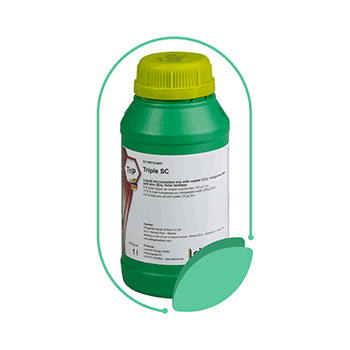 کود تریپل اس سی لبوسل