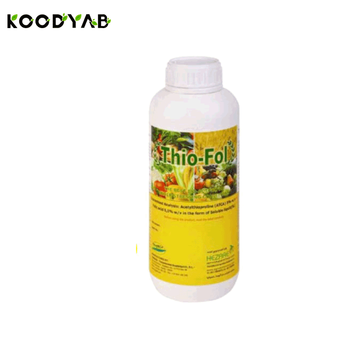 کود تیوفول هزاره 