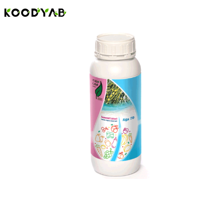 کود آلگا 70 رستان  