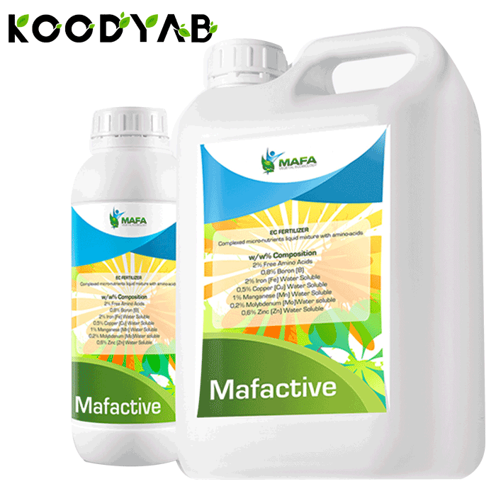 کود اکتیو مافا