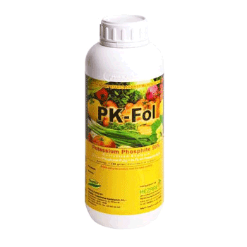 کود پی کی فول هزاره 