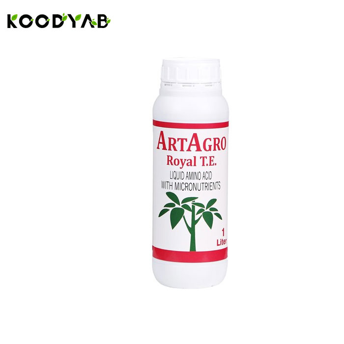 کود رویال تی ای  آرتاگرو