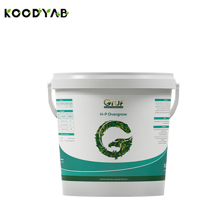 کود اچ پی اور گرو گروف