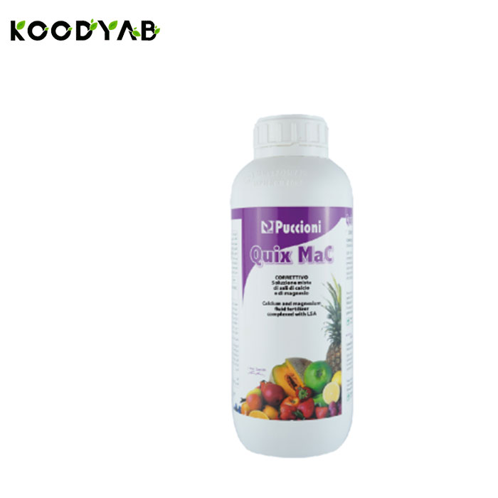 کود کوییکس مک پوچینی